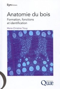 Anatomie du bois: Formation, fonctions et identification.