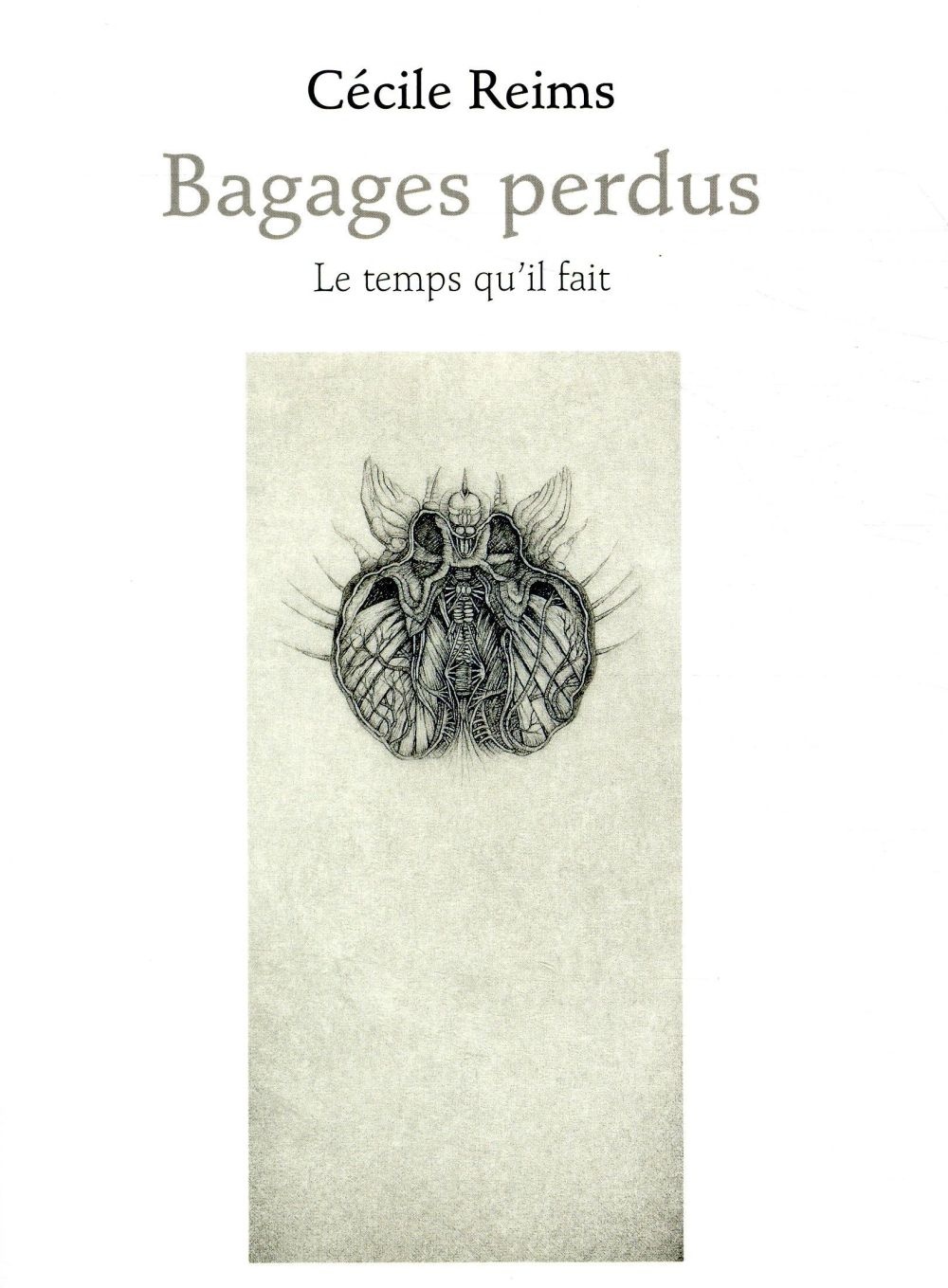 Bagages perdus