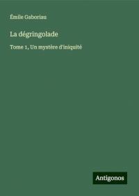 La dégringolade: Tome 1, Un mystère d'iniquité