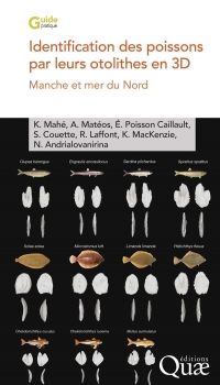 IDENTIFICATION DES POISSONS PAR LEURS OTOLITHES EN IMAGERIE 3D: MANCHE ET MER DU NORD