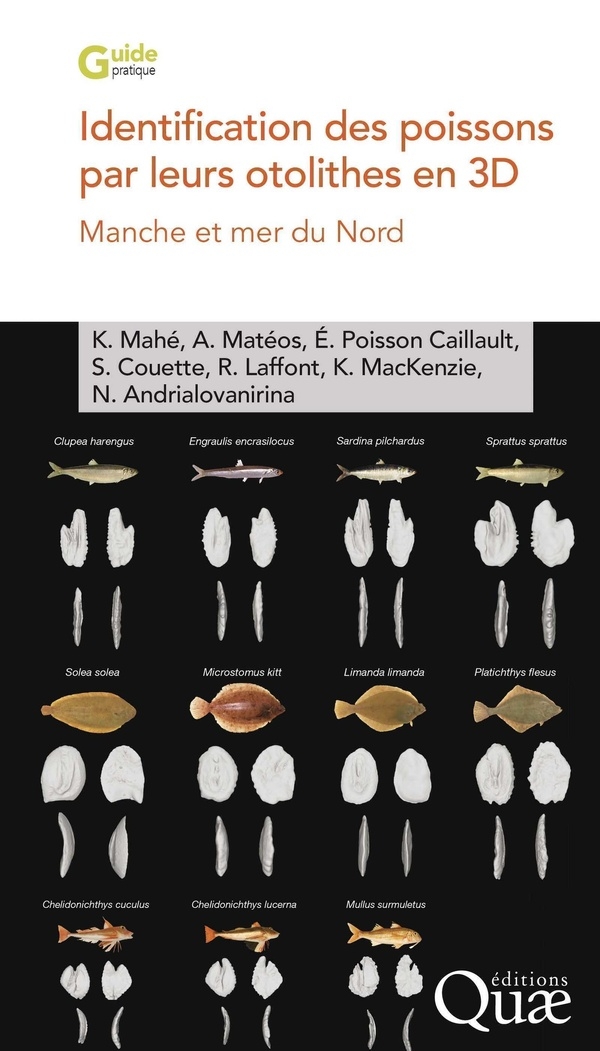 IDENTIFICATION DES POISSONS PAR LEURS OTOLITHES EN IMAGERIE 3D: MANCHE ET MER DU NORD