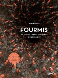 Fourmis : Vie et Intelligence Collective d'une Colonie - Immersion en 3D Dans une Fourmiliere