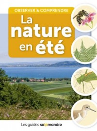 La nature en été