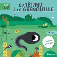 Du têtard à la grenouille - Pop up