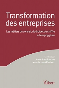 La transformation des entreprises: Les métiers du chiffre, du droit et du conseil à l'ère phygitale (2019)