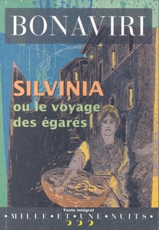 Silvinia ou Le voyage des égarés