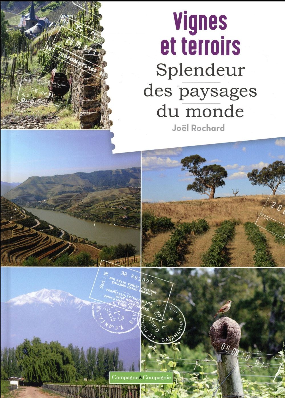 Vignes et splendeurs des paysages
