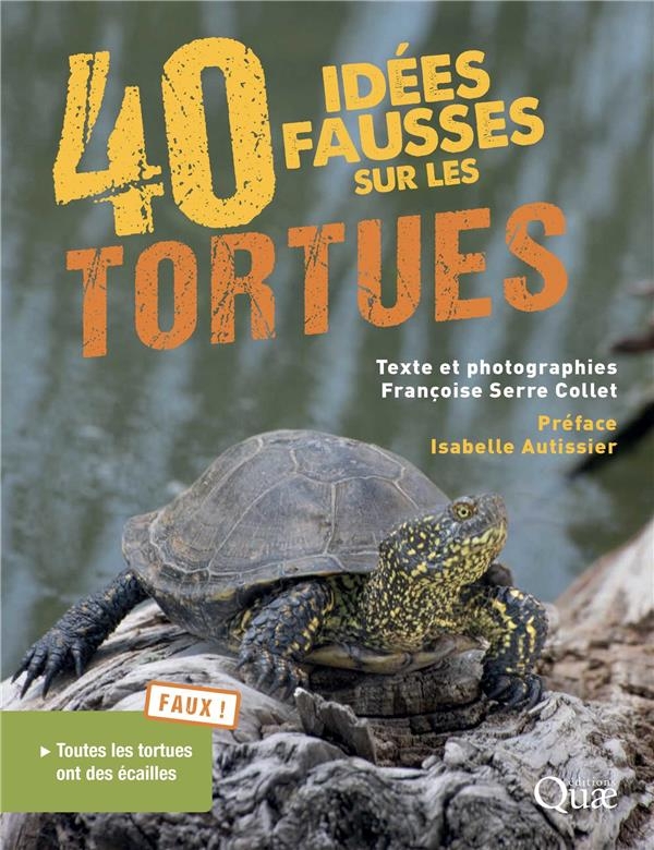 40 IDEES FAUSSES SUR LES TORTUES