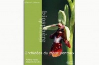 Les orchidees sauvages du mont ventoux