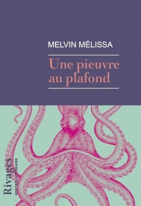 Une pieuvre au plafond