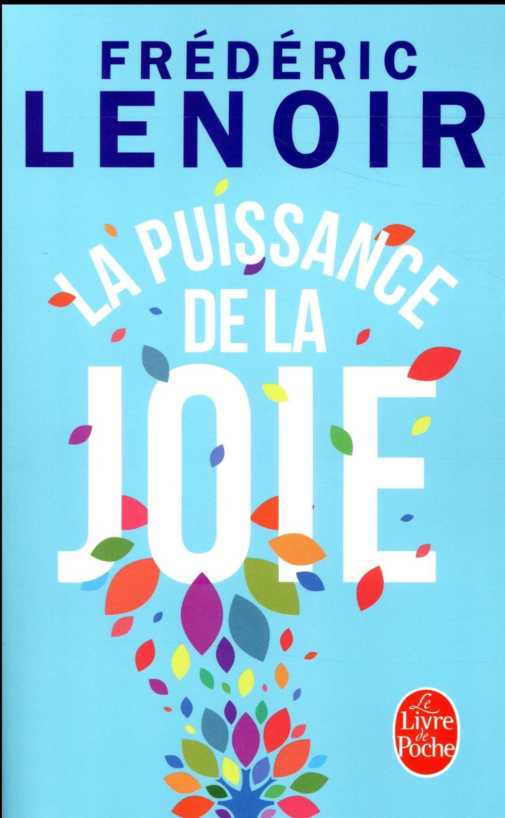 La Puissance de la joie