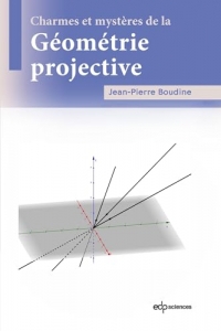 Charmes et mystères de la géométrie projective