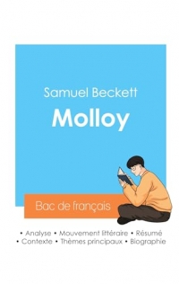 Réussir son Bac de français 2024 : Analyse de Molloy de Samuel Beckett