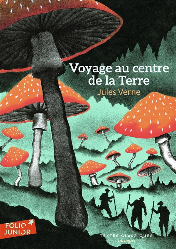 Voyage au Centre de la Terre (Abrege)