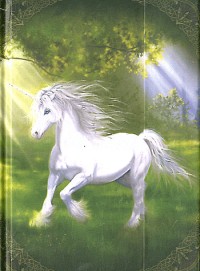 Note-Book 13x18 Chevaux merveilleux