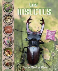 Les insectes