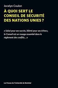 A Quoi Sert le Conseil de Securite des Nations Unies ?