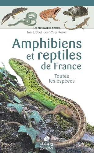 Les miniguides nature - Amphibiens et reptiles de France: Toutes les espèces