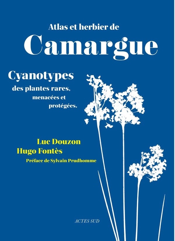 Atlas et herbier de Camargue: Cyanotypes des plantes rares menacées et protégées