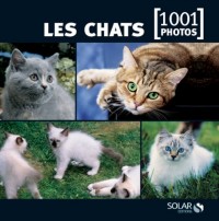 Les chats en 1001 photos NE