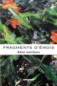 Fragments d'Emois