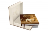 Grace in the Desert: The beauty of Saudi Arabia's camels