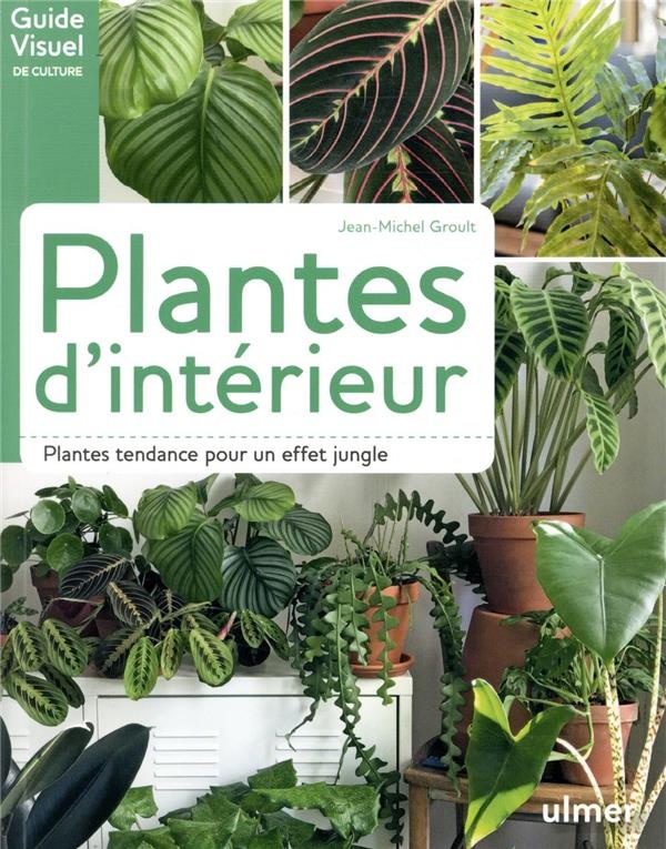 Plantes d'intérieur
