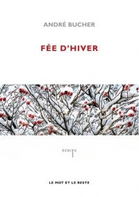 Fée d'hiver