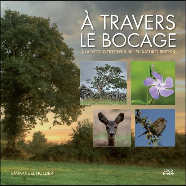 A travers le bocage : A la découverte d'un milieu naturel breton