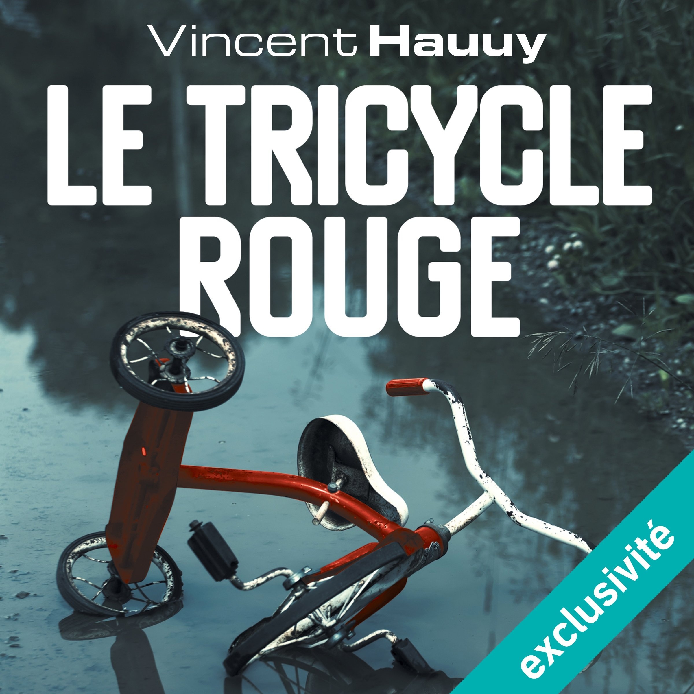 Le tricycle rouge