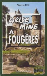 Grise mine à Fougères