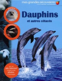 Dauphins et autres cétacés