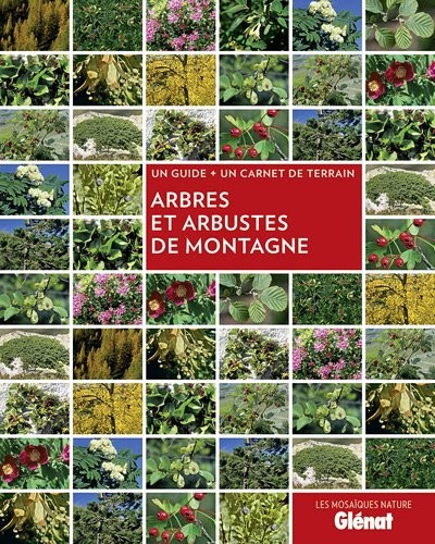 Arbres et arbustes de montagne