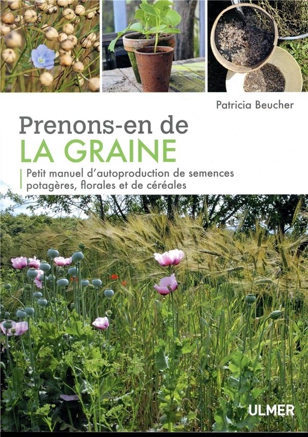Prenons-en de la graine