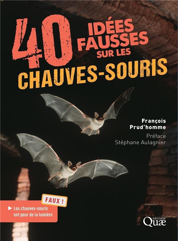 40 IDEES FAUSSES SUR LES CHAUVES-SOURIS