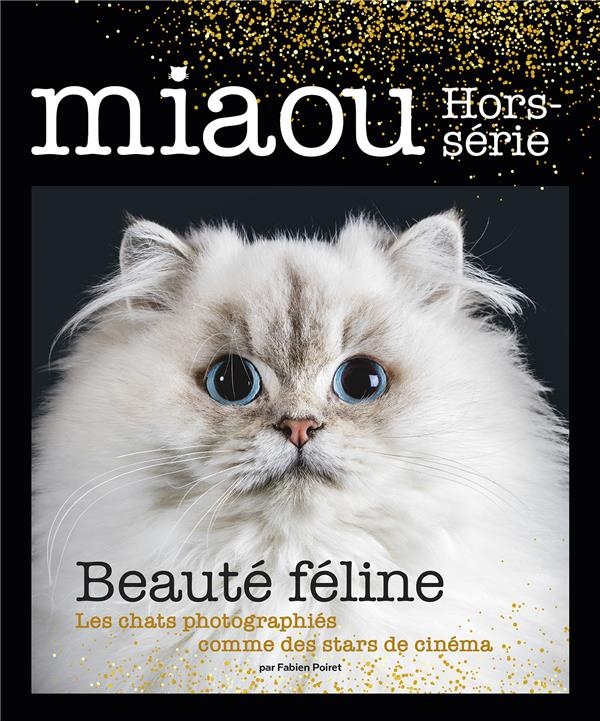 Miaou Hs N 2 - Special Fetes