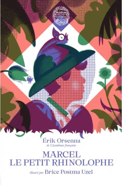 Marcel le petit Rhinolophe
