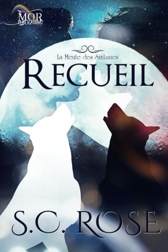 Recueil [9781540579515]