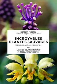 Guide des plantes sauvages pour les débutants