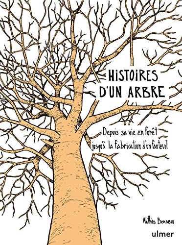 Histoires d'un arbre - Depuis sa vie en forêt jusqu'à la fabrication d'un fauteuil