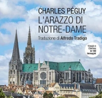 L'arazzo di Notre-Dame. Viaggio a Chartres in 100 immagini. Ediz. illustrata