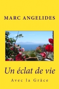 Un éclat de vie: Dans la grâce sanctifiante