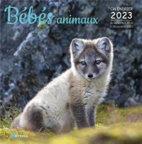 Calendrier bébés animaux 2023