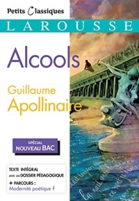 Alcools (Bac 2020)