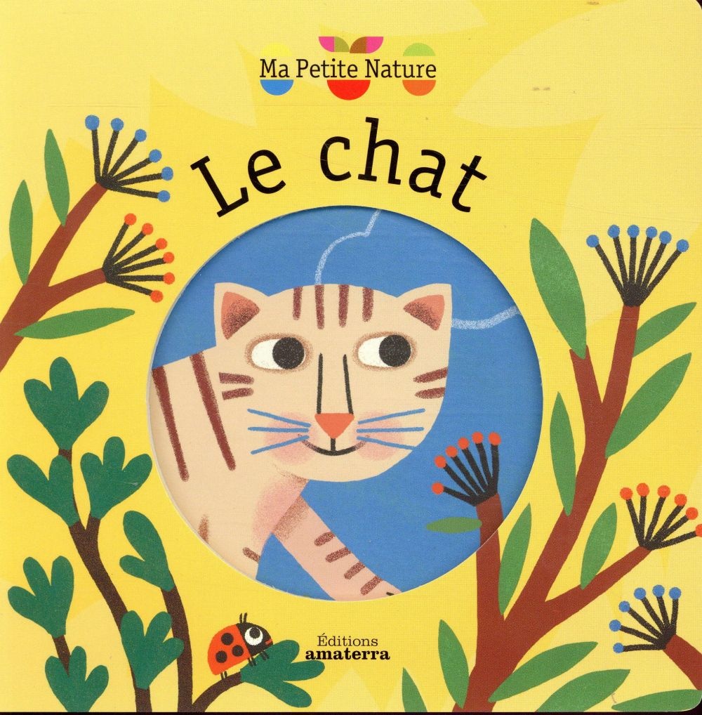 Le chat
