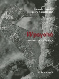 Wpsyché : Idées noires et angles morts