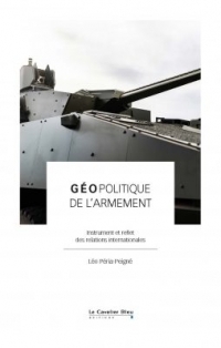 Géopolitique de l'armement: Au croisement de l'économie et de la stratégie par temps incertains