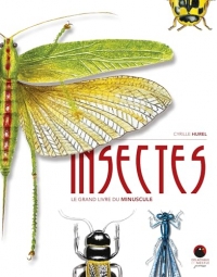 Insectes: Le grand livre du minuscule