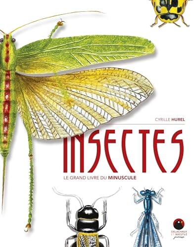 Insectes: Le grand livre du minuscule