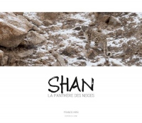 Shan, la panthère des neiges
